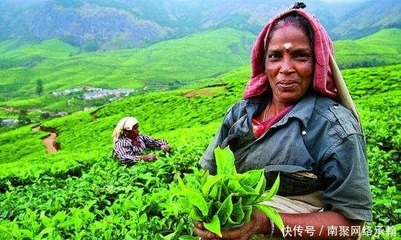 料羅灣海戰 明朝水師重挫荷蘭艦隊，東亞海權爭奪戰的歷史轉折